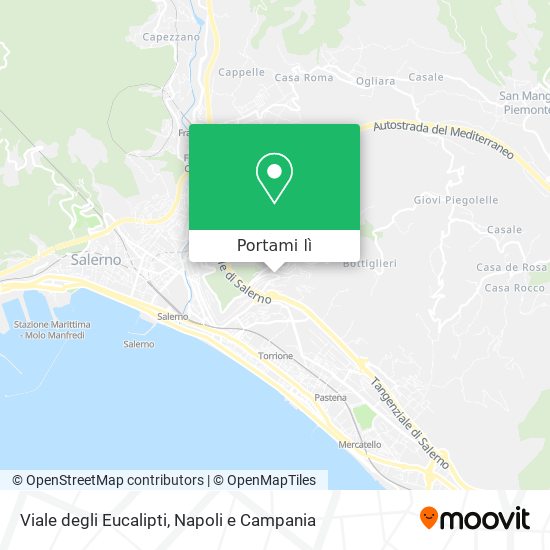 Mappa Viale degli Eucalipti