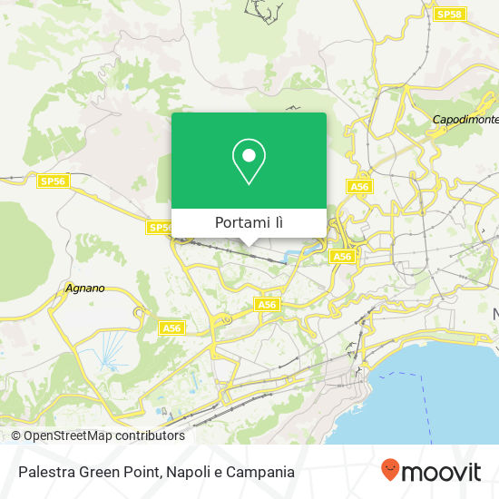 Mappa Palestra Green Point