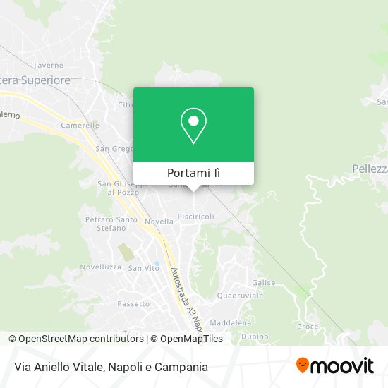 Mappa Via Aniello Vitale