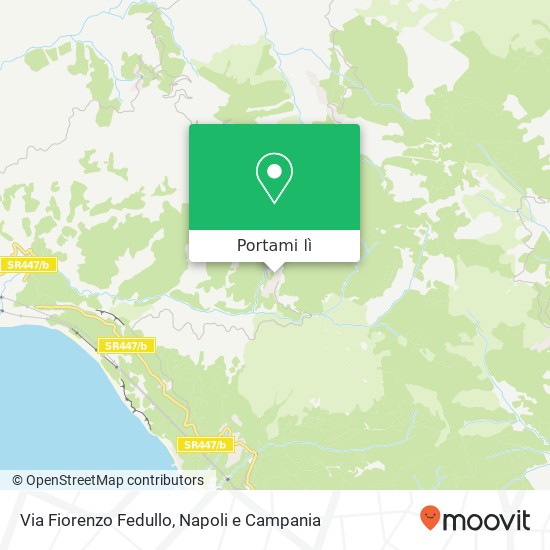 Mappa Via Fiorenzo Fedullo