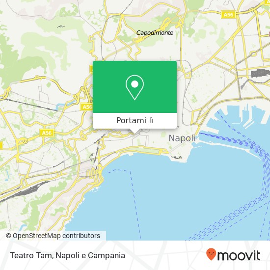 Mappa Teatro Tam