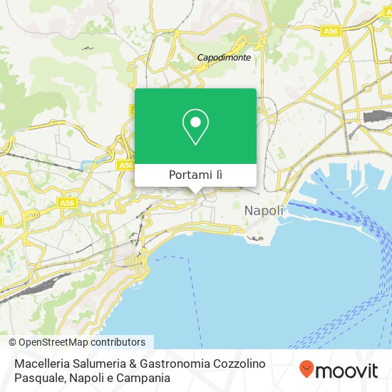 Mappa Macelleria Salumeria & Gastronomia Cozzolino Pasquale, Via del Parco Grifeo, 4 80121 Napoli