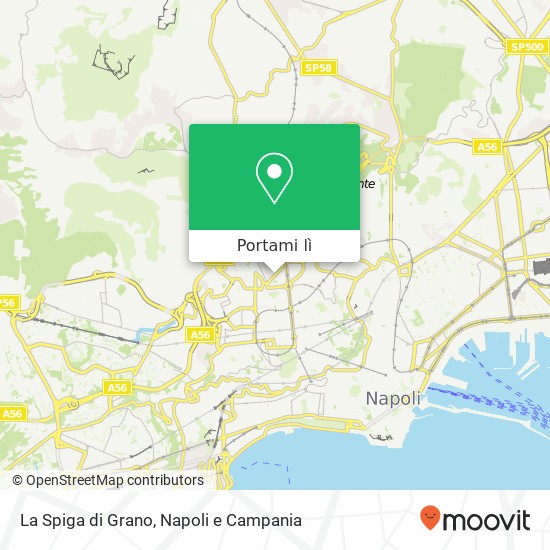 Mappa La Spiga di Grano, Via Maurizio De Vito Piscicelli, 50B 80128 Napoli