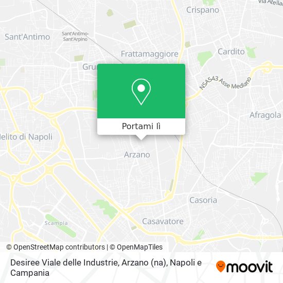 Mappa Desiree Viale delle Industrie, Arzano (na)
