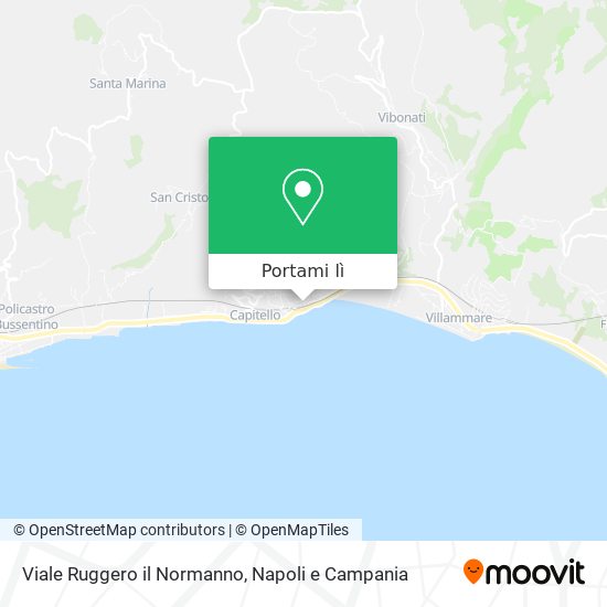 Mappa Viale Ruggero il Normanno
