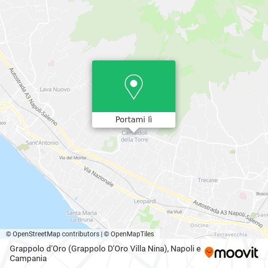 Mappa Grappolo d'Oro (Grappolo D'Oro Villa Nina)