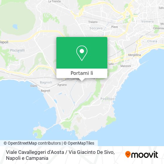 Mappa Viale Cavalleggeri d'Aosta / Via Giacinto De Sivo