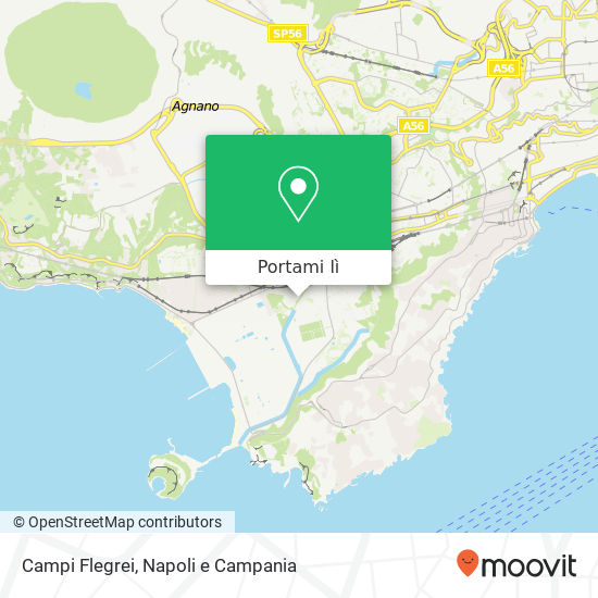 Mappa Campi Flegrei