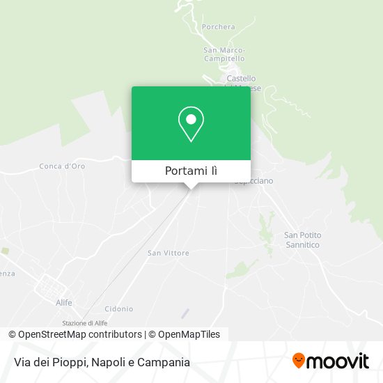 Mappa Via dei Pioppi