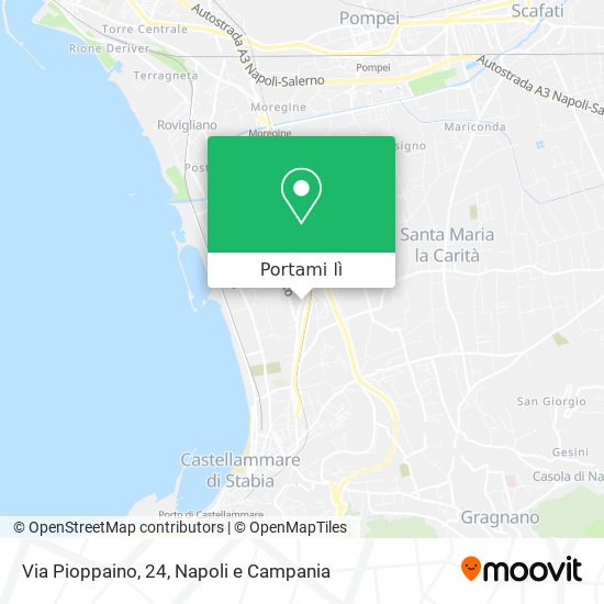Mappa Via Pioppaino, 24