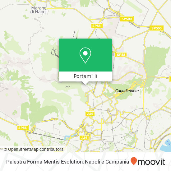 Mappa Palestra Forma Mentis Evolution