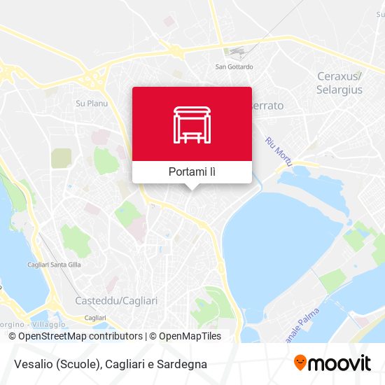 Mappa Vesalio (Scuole)