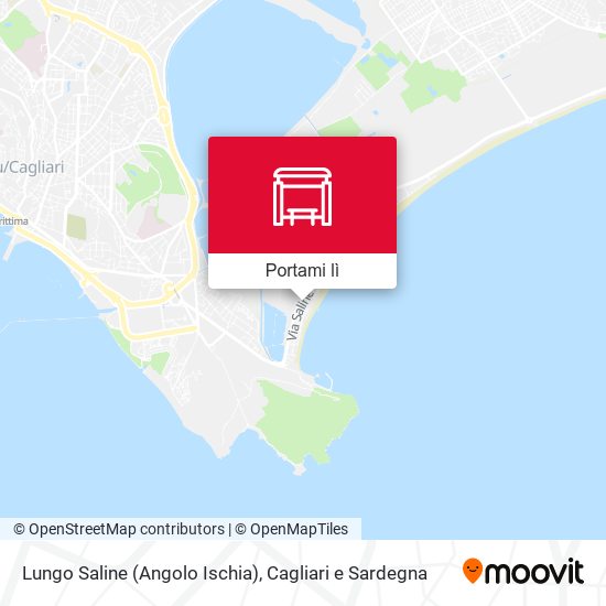 Mappa Lungo Saline (Angolo Ischia)