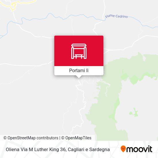 Mappa Oliena Via M Luther King 36