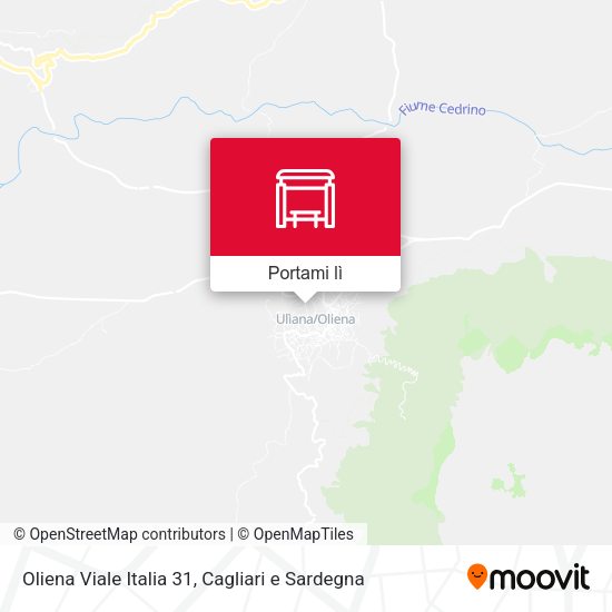 Mappa Oliena Viale Italia 31