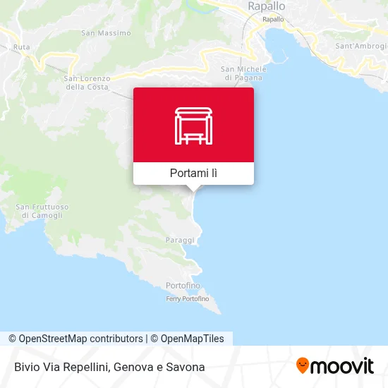 Mappa Bivio Via Repellini