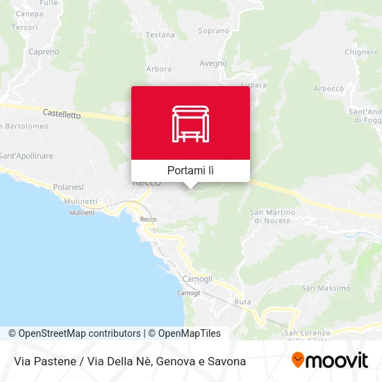 Mappa Via Pastene / Via Della Nè