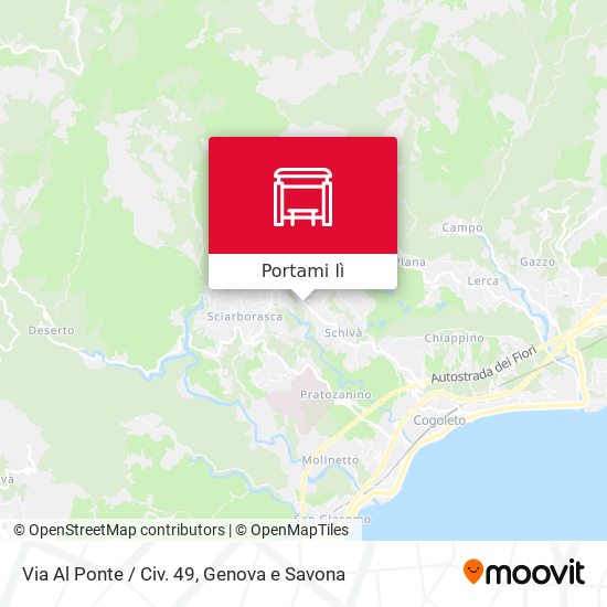 Mappa Via Al Ponte / Civ. 49