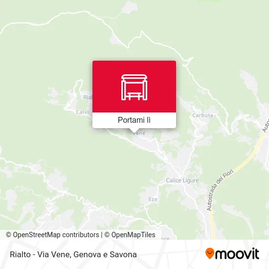 Mappa Rialto - Via Vene