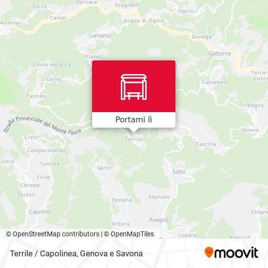 Mappa Terrile / Capolinea