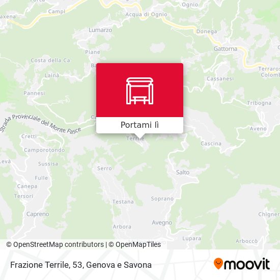 Mappa Frazione Terrile, 53