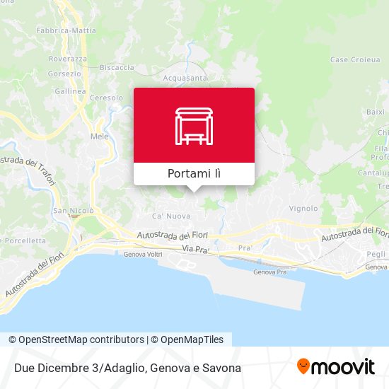 Mappa Due Dicembre 3/Adaglio