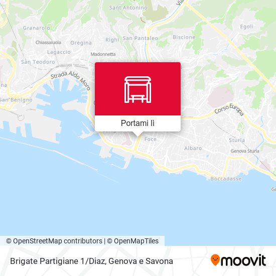 Mappa Brigate Partigiane 1/Diaz