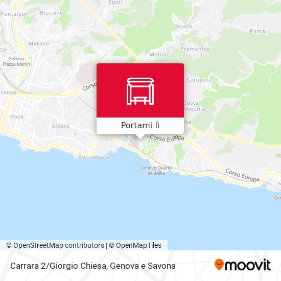Mappa Carrara 2/Giorgio Chiesa