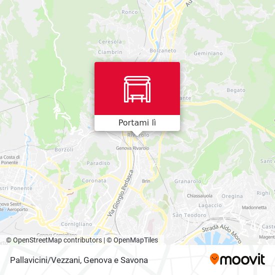 Mappa Pallavicini/Vezzani