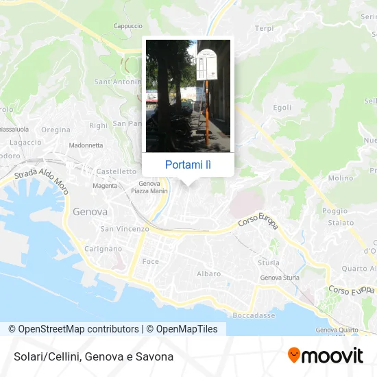 Mappa Solari/Cellini