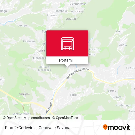 Mappa Pino 2/Codeviola