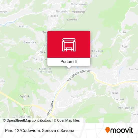 Mappa Pino 12/Codeviola