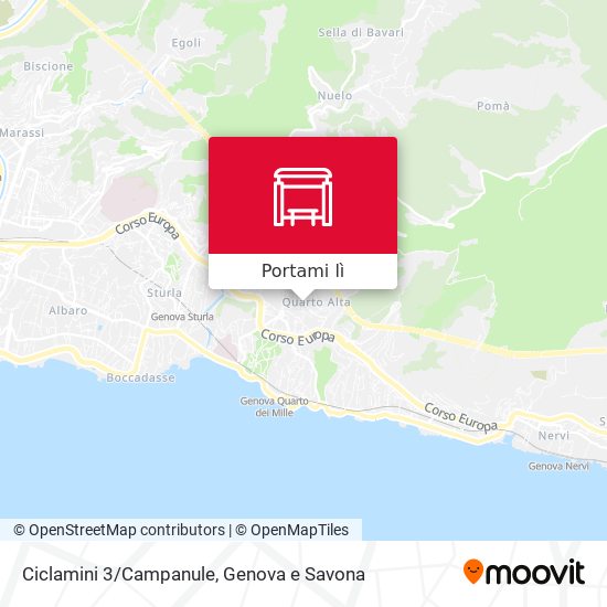 Mappa Ciclamini 3/Campanule
