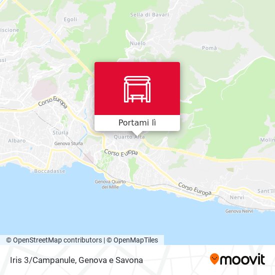 Mappa Iris 3/Campanule