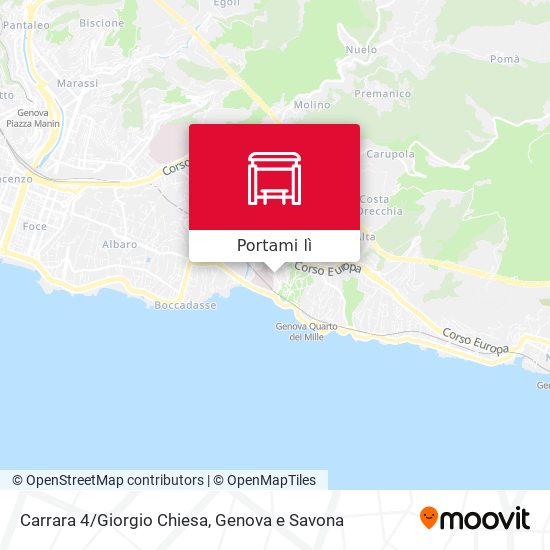 Mappa Carrara 4/Giorgio Chiesa