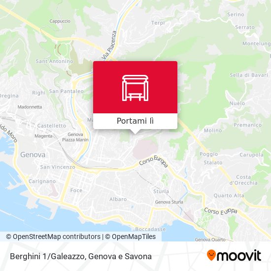 Mappa Berghini 1/Galeazzo
