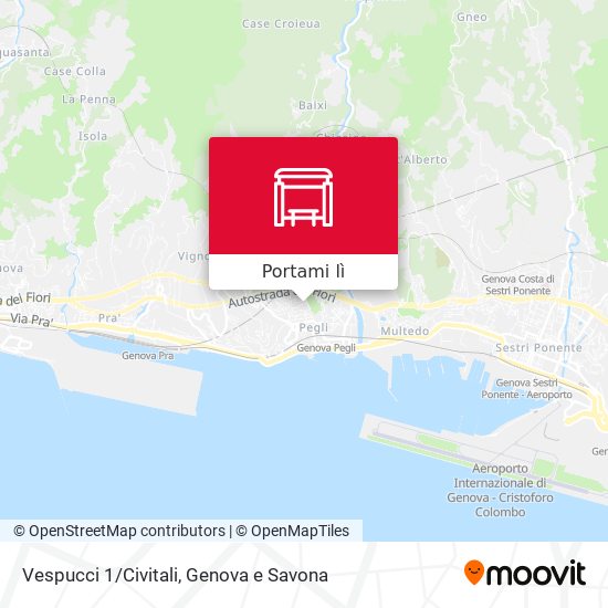 Mappa Vespucci 1/Civitali