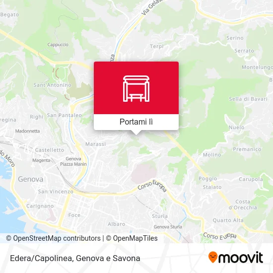Mappa Edera/Capolinea