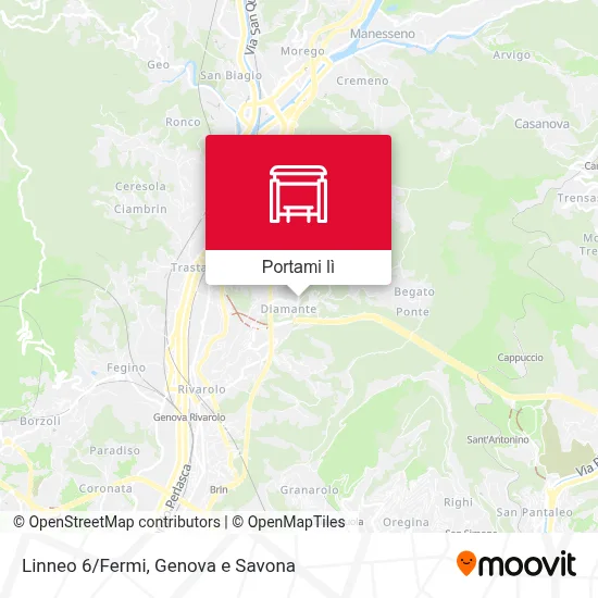Mappa Linneo 6/Fermi