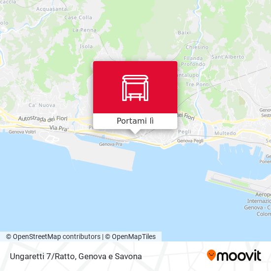 Mappa Ungaretti 7/Ratto