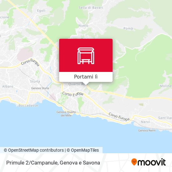Mappa Primule 2/Campanule