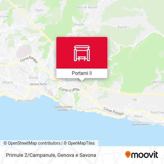 Mappa Primule 2/Campanule