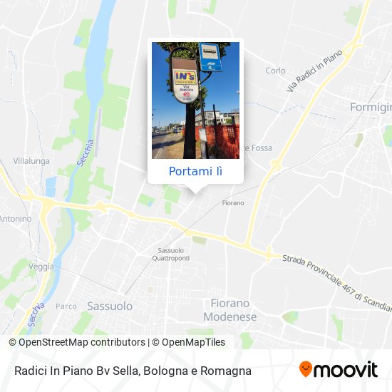 Mappa Radici In Piano Bv Sella