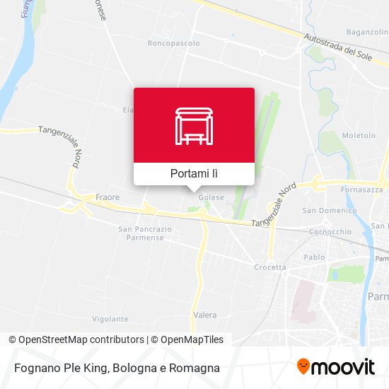 Mappa Fognano Ple King