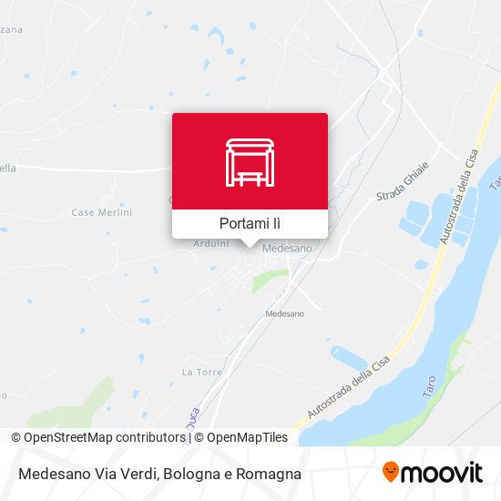 Mappa Medesano Via Verdi