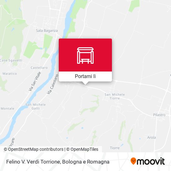 Mappa Felino V. Verdi Torrione
