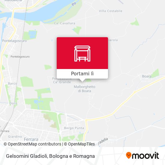 Mappa Gelsomini Gladioli