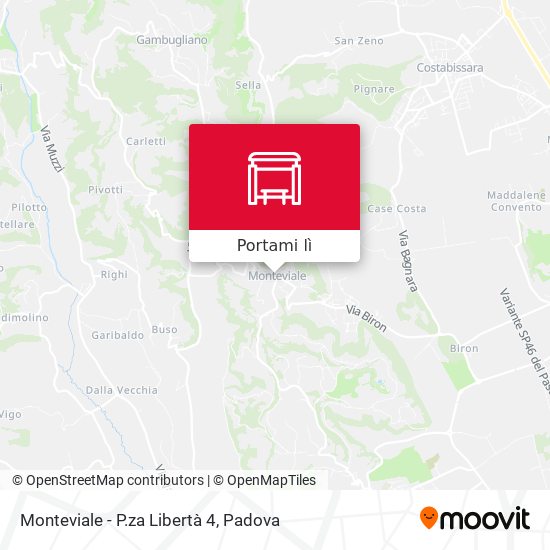 Mappa Monteviale - P.za Libertà 4