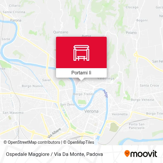 Mappa Ospedale Maggiore / Via Da Monte