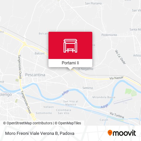 Mappa Moro Freoni Viale Verona B